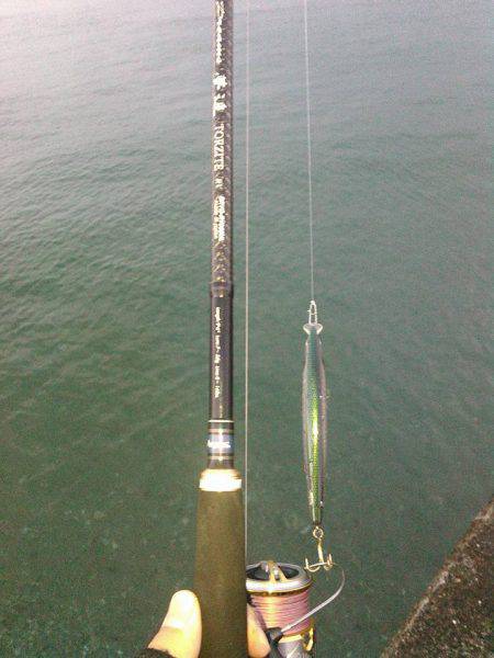 朝イチフィーッシュ❤❤❤❤